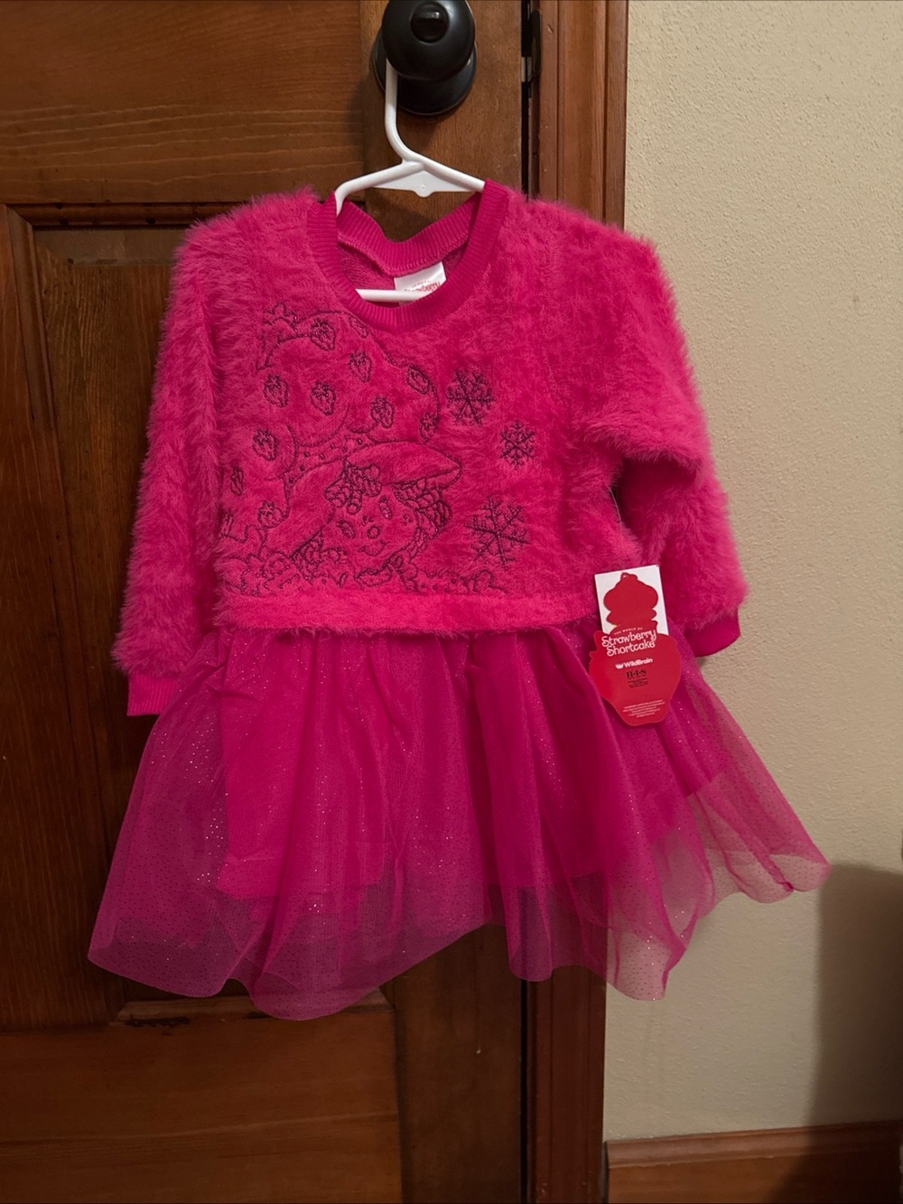 NWT Girls 2T Strawberry Shortcake Dress Pink SKU TR36 Tutu Skirt